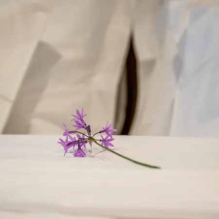 Porto De Gaia ヴィラ・ノヴァ・デ・ガイア