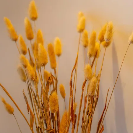 Porto De Gaia アパート *