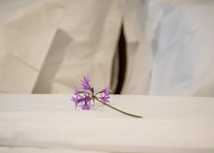 Porto De Gaia فيلا نوفا دي غايا