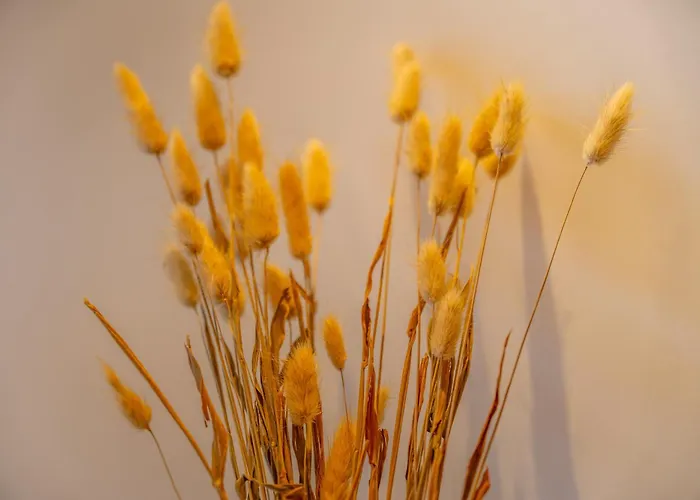 Porto De Gaia شقة *